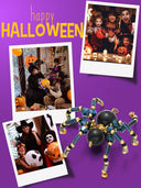 DoDoBeads Earring Making Kit, Halloween Beads Kit, Jewelry Making Kit with Glass Beads, Crystal Beads, Tube Beads, Gold Spacer Beads, Copper Wire, Earring Hook, Jump Rings, Tools